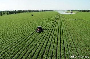 石家庄农业最新爆料,揭秘最新发展动态与亮点